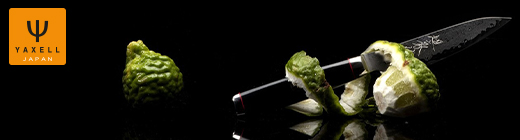 Японські ножi YAXELL