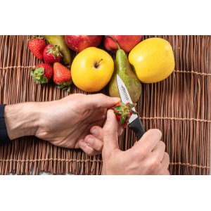 Нож для чистки овощей 85 мм Niza Arcos  (135000)