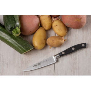 Нож для чистки овощей 100 мм Riviera Arcos  (230200)