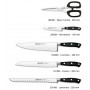 Набір ножів із 5-ти предметів з підставкою Riviera Arcos  (234300)