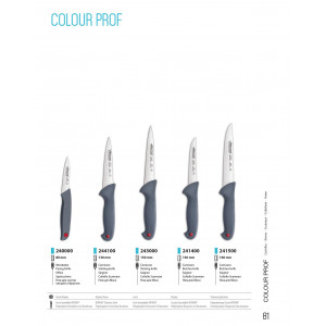 Нож поварской 250 мм Сolour-prof Arcos  (241100)