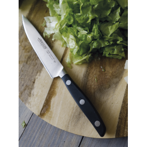 Нож для чистки овощей 100 мм Manhattan Arcos  (160100)