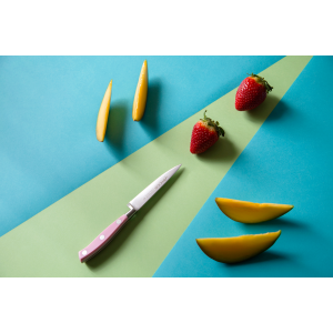 Нож для чистки овощей 100 мм Riviera Pink Arcos  (230254)