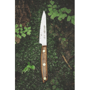 Нож для овощей 100 мм Nordika Arcos  (165000)