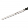 Нож для хамона 250 мм Clara Arcos  (211900)