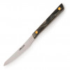 Нож столовый стейковий 110 мм Flysch Arcos  373800