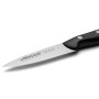 Нож для овощей 100 мм, серия Maitre Arcos  150300