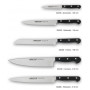 Набір ножів із 5- ти предметів з підставкою Opera Arcos  (227000)