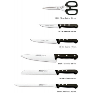 Набір ножів із 6-ти предметів з підставкою Universal Arcos  285600