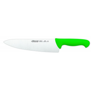 Нож поварской 250 мм 2900 зеленый Arcos  290821