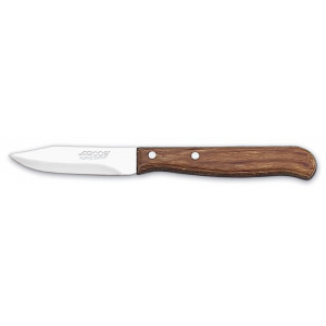 Нож для чистки овощей 65 мм Latina Arcos  (100101)