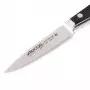 Ніж для овочів 100 мм, серія Classic pro Arcos  215700
